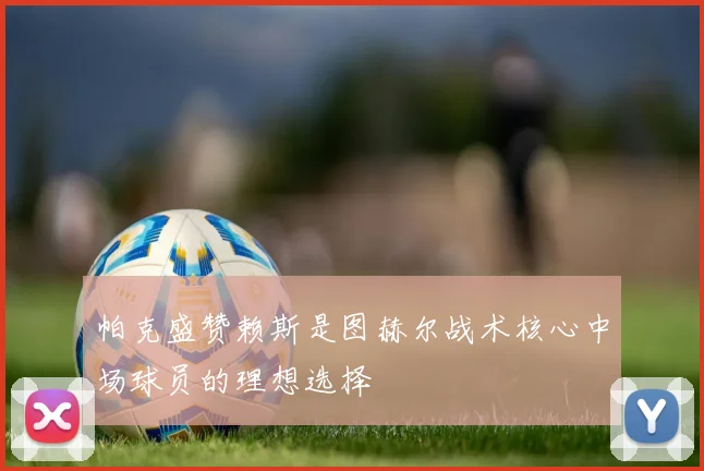 帕克盛赞赖斯是图赫尔战术核心中场球员的理想选择