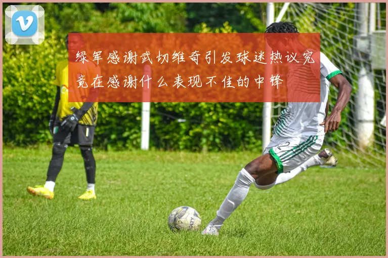 绿军感谢武切维奇引发球迷热议究竟在感谢什么表现不佳的中锋