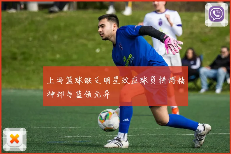 上海篮球缺乏明星效应球员拼搏精神却与蓝领无异
